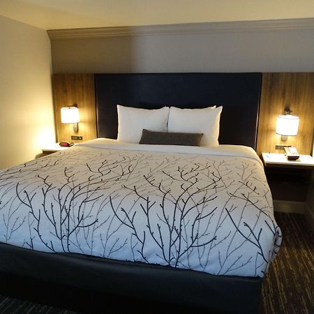 Best Western Premier Denver East Quarto foto